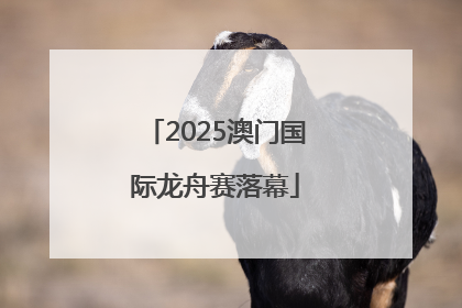 2025澳门国际龙舟赛落幕