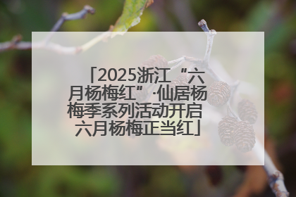 2025浙江“六月杨梅红”·仙居杨梅季系列活动开启 六月杨梅正当红