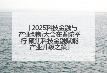 2025科技金融与产业创新大会在普陀举行 聚焦科技金融赋能产业升级之策