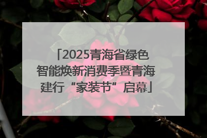 2025青海省绿色智能焕新消费季暨青海建行“家装节”启幕