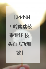 24小时！岭南荔枝乘专线 枝头直飞新加坡