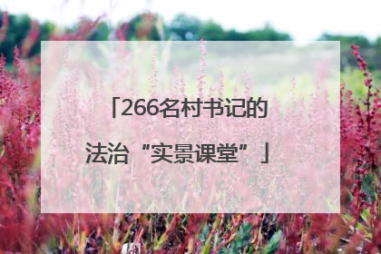 266名村书记的法治“实景课堂”