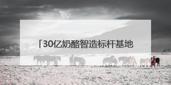 30亿奶酪智造标杆基地+全品类全渠道解决方案，伊利专业乳品何以成为 2025 焙烤展 MV