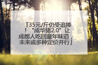 35元/斤仍受追捧！“成华猪2.0”让成都人吃回童年味道，未来或多种定价并行