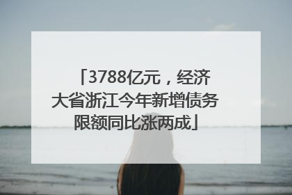3788亿元，经济大省浙江今年新增债务限额同比涨两成