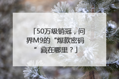 50万级销冠，问界M9的“爆款密码”藏在哪里？