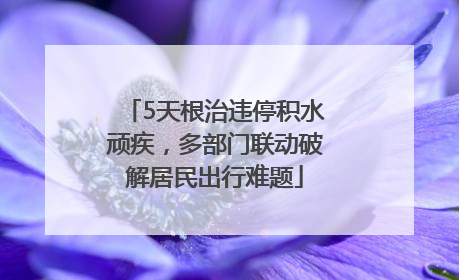5天根治违停积水顽疾，多部门联动破解居民出行难题
