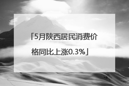 5月陕西居民消费价格同比上涨0.3%