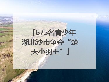 675名青少年湖北沙市争夺“楚天小羽王”