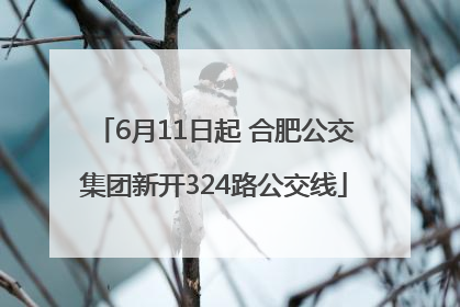 6月11日起 合肥公交集团新开324路公交线