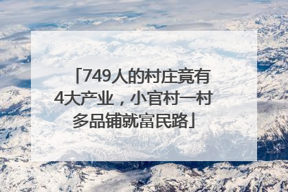 749人的村庄竟有4大产业，小官村一村多品铺就富民路