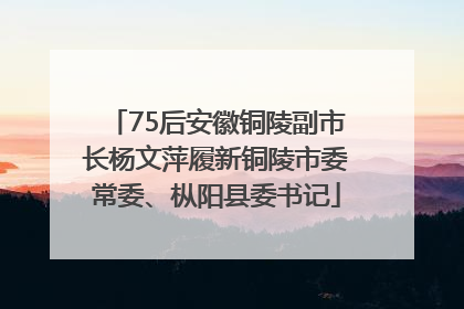 75后安徽铜陵副市长杨文萍履新铜陵市委常委、枞阳县委书记