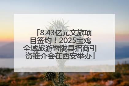 8.43亿元文旅项目签约！2025宝鸡全域旅游暨陇县招商引资推介会在西安举办