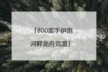 800桨手伊洛河畔龙舟竞渡