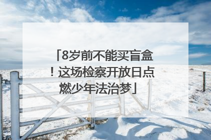 8岁前不能买盲盒！这场检察开放日点燃少年法治梦