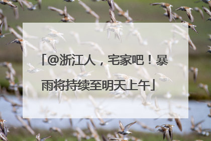 @浙江人，宅家吧！暴雨将持续至明天上午