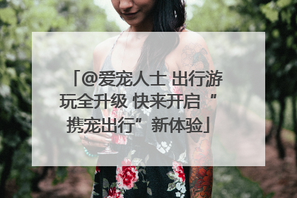 @爱宠人士 出行游玩全升级 快来开启“携宠出行”新体验